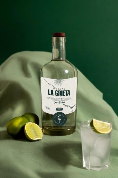 Maguey Espadín